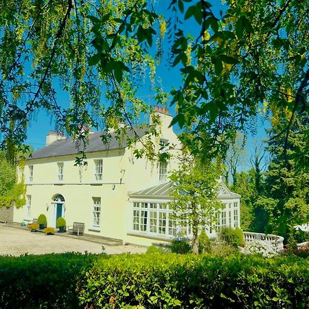Larchmount House B&B Londonderry Exteriör bild