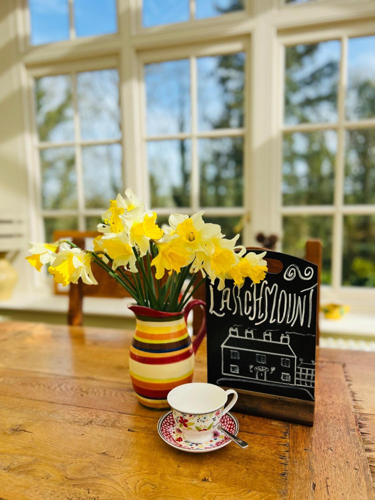 Larchmount House B&B Londonderry Exteriör bild